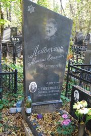 Семятицкая Полина Ефимовна, Москва, Востряковское кладбище