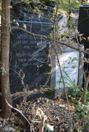 Мурованный Сухер Абармович, Москва, Востряковское кладбище