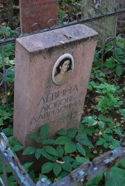 Левина Любовь Давидовна, Москва, Востряковское кладбище
