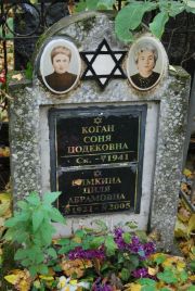 Симкина Циля Абрамовна, Москва, Востряковское кладбище
