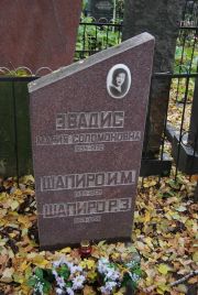 Шапиро И. М., Москва, Востряковское кладбище