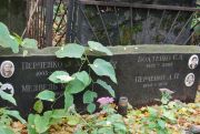 Медведь М. , Москва, Востряковское кладбище