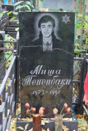 Тененбаум Миша , Москва, Востряковское кладбище