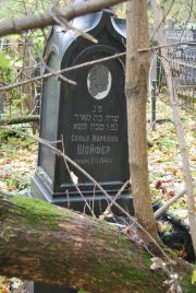 Шойфер Софья Марковна, Москва, Востряковское кладбище
