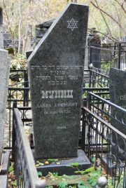 Муниц Давид Ефимович, Москва, Востряковское кладбище