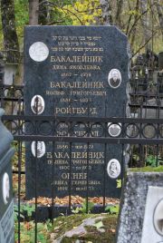 Окнер Лейка Гершковна, Москва, Востряковское кладбище