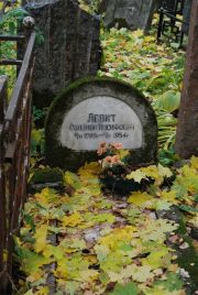 Левит Соломон Иосифович, Москва, Востряковское кладбище