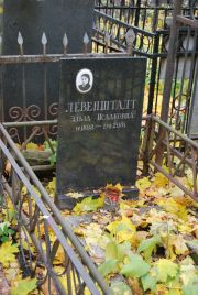 Левенштадт Эльза Исааковна, Москва, Востряковское кладбище