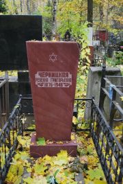 Черницкая Ревекка Григорьевна, Москва, Востряковское кладбище