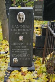 Кауфман С. С., Москва, Востряковское кладбище