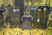 Кричевская Леа Самойловна, Москва, Востряковское кладбище