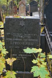Пригожина Гися Абрамовна, Москва, Востряковское кладбище