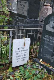 Палатник Рухля Нусевна, Москва, Востряковское кладбище