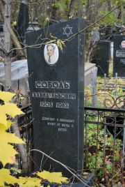 Соболь Давид Львович, Москва, Востряковское кладбище