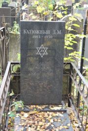 Калюжный Д. М., Москва, Востряковское кладбище