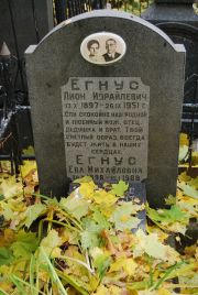 Егнус Лион Израилевич, Москва, Востряковское кладбище