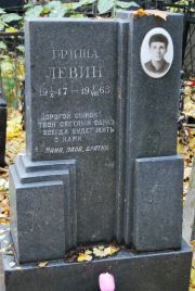 Левин Гриша , Москва, Востряковское кладбище