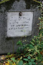 Остров Л. З., Москва, Востряковское кладбище