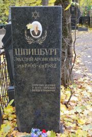 Шпицбург Эвадий Аронович, Москва, Востряковское кладбище