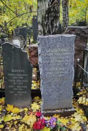 Гинзбург Рива Сауловна, Москва, Востряковское кладбище