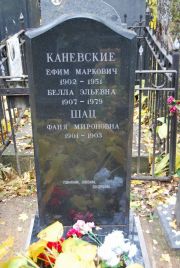 Шац Фаня Мироновна, Москва, Востряковское кладбище