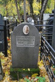 Молокошер Самуил Абрамович, Москва, Востряковское кладбище