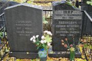 Рабинович Соломон Матвеевич, Москва, Востряковское кладбище