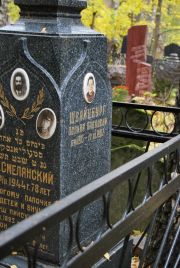 Швайцбург Полина Павловна, Москва, Востряковское кладбище