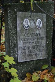 Соломон Эстер Лейзеровна, Москва, Востряковское кладбище