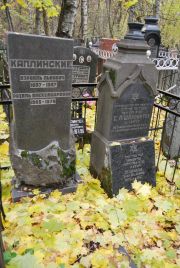 Каплинский Израиль Львович, Москва, Востряковское кладбище