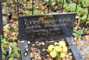 Стремовский Лазарь Израилевич, Москва, Востряковское кладбище