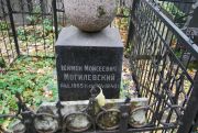 Могилевский Шимон Моисеевич, Москва, Востряковское кладбище
