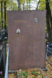 Микельсон Сарра Абрамовна, Москва, Востряковское кладбище