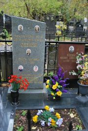 Левин Израиль Гдальевич, Москва, Востряковское кладбище