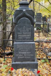 Розенблит Семен Моисеевич, Москва, Востряковское кладбище
