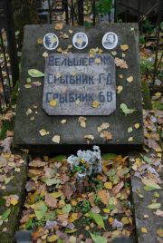 Вельшер Р. М., Москва, Востряковское кладбище