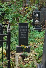 Шерман Александр Давидович, Москва, Востряковское кладбище