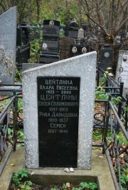 Цейтлин Евсей Соломонович, Москва, Востряковское кладбище