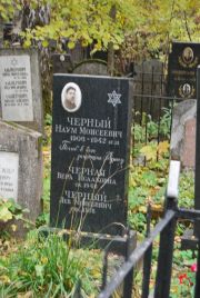 Черная Вера Исааковна, Москва, Востряковское кладбище