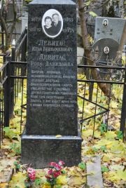 Левитас Илья Вениаминович, Москва, Востряковское кладбище