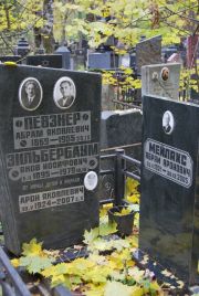 Певзнер Абрам Яковлевич, Москва, Востряковское кладбище