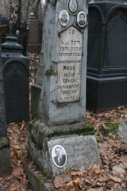 Гинзбург Семен Александрович, Москва, Востряковское кладбище