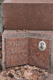 Злацин Макс Бенционович, Москва, Востряковское кладбище
