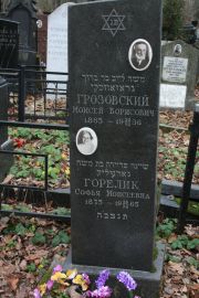 Горелик Софья Моисеевна, Москва, Востряковское кладбище