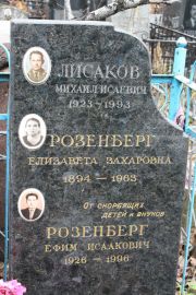 Розенберг Елизавета Захаровна, Москва, Востряковское кладбище