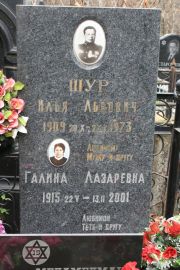 Шур Галина Лазаревна, Москва, Востряковское кладбище