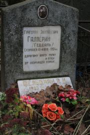 Гальперин-Геддаль Григорий Зиновьевич, Москва, Востряковское кладбище