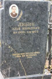 Либин Илья Яковлевич, Москва, Востряковское кладбище