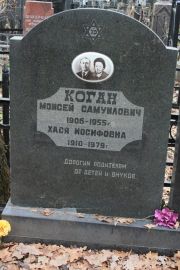 Коган Моисей Самуилович, Москва, Востряковское кладбище