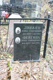 Любкин Довид Самуилович, Москва, Востряковское кладбище